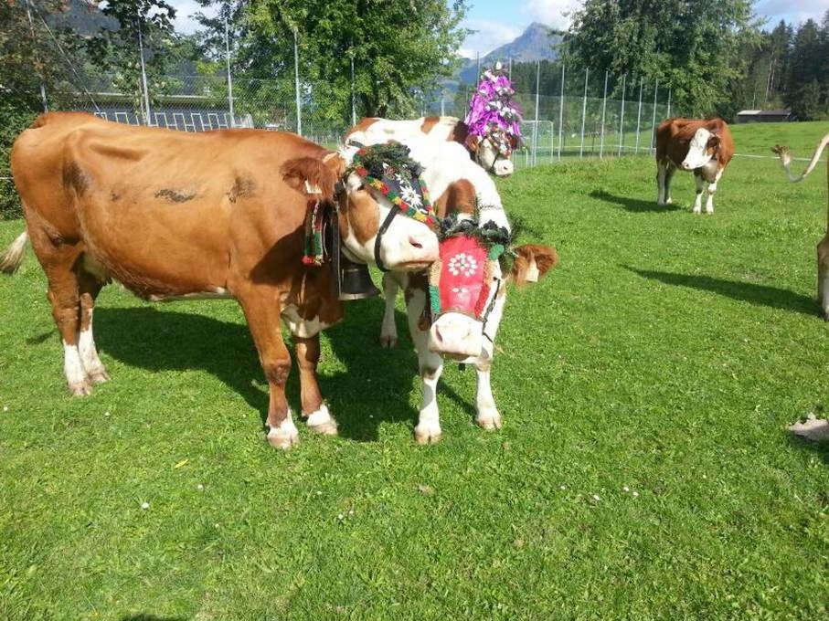 Apartamento Hof Obertann Kirchberg in Tirol Exterior foto
