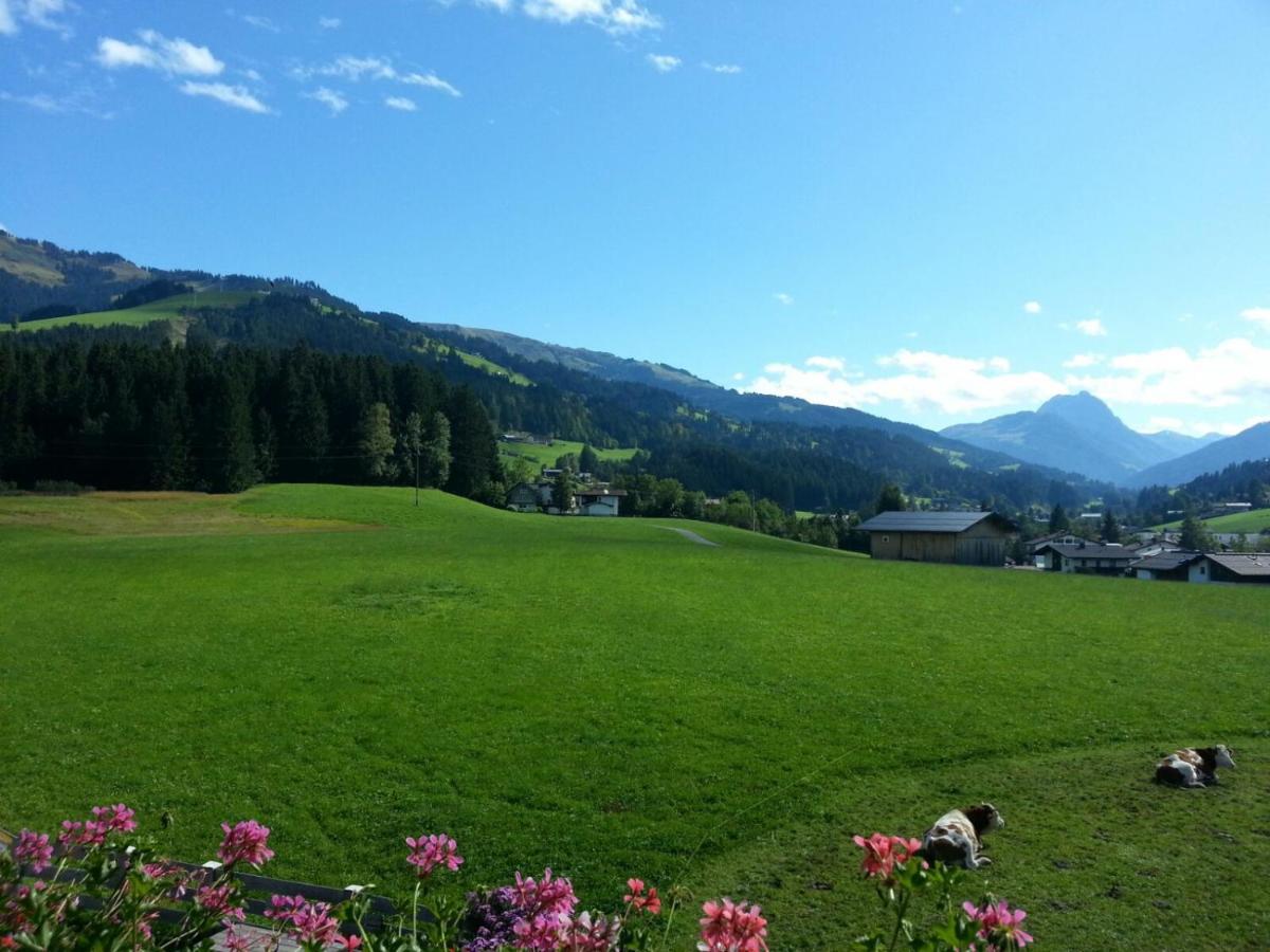 Apartamento Hof Obertann Kirchberg in Tirol Exterior foto